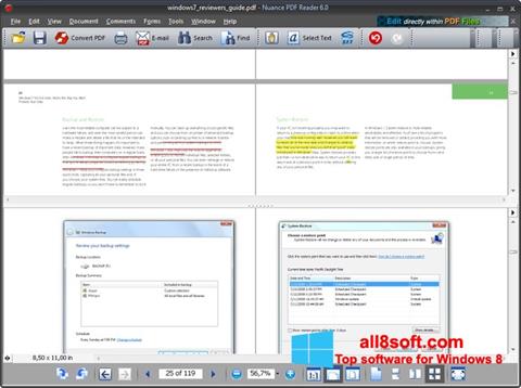 Screenshot Nuance PDF Reader per Windows 8