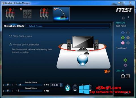 Screenshot Realtek Audio Driver per Windows 8