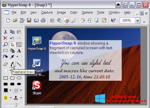Screenshot HyperSnap per Windows 8