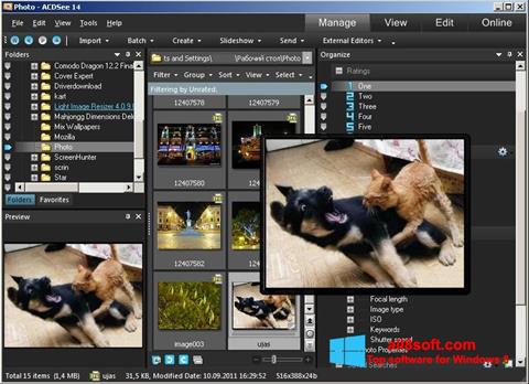 Screenshot ACDSee Photo Manager per Windows 8