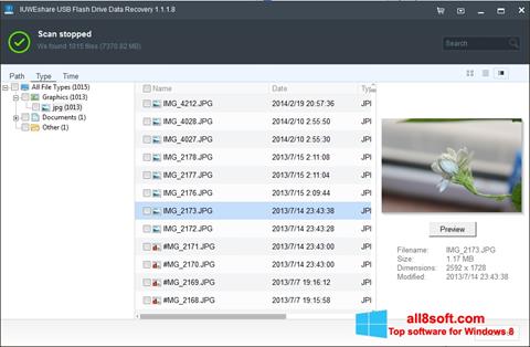 Screenshot USB Flash Drive Recovery per Windows 8