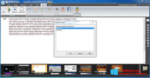 Screenshot Snagit per Windows 8