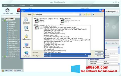 Screenshot Any Video Converter per Windows 8