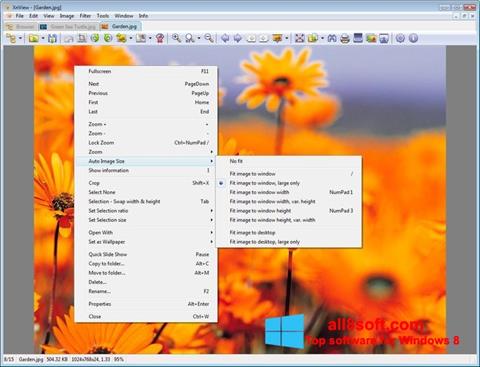 Screenshot XnView per Windows 8