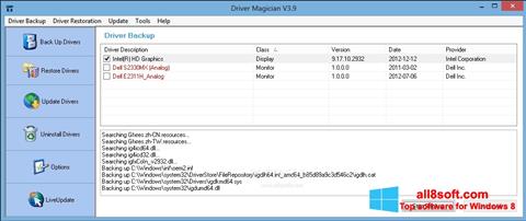 Screenshot Driver Magician per Windows 8