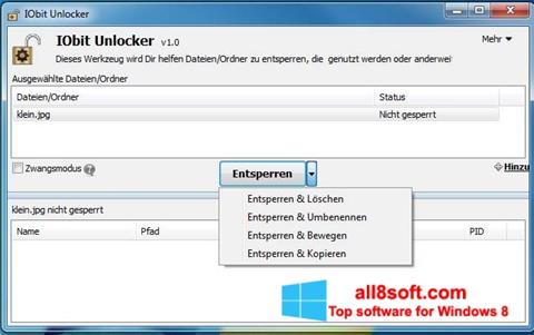 Screenshot IObit Unlocker per Windows 8