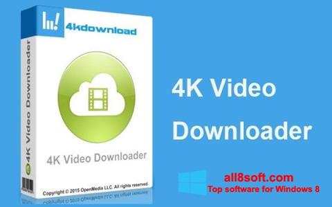 Screenshot 4K Video Downloader per Windows 8
