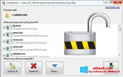 Screenshot LockHunter per Windows 8