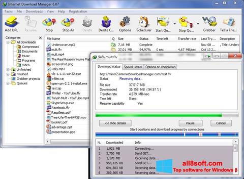 Screenshot Internet Download Manager per Windows 8