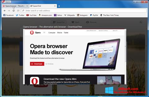 Screenshot Opera Developer per Windows 8