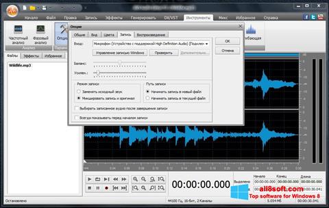 Screenshot AVS Audio Editor per Windows 8