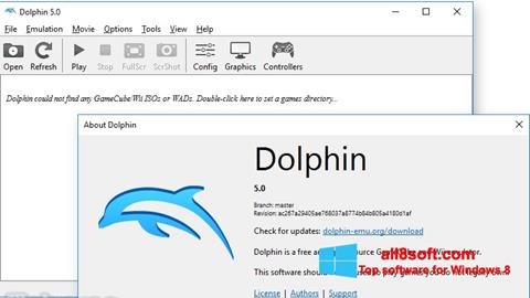 Screenshot Dolphin per Windows 8