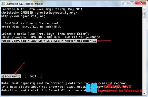 Screenshot TestDisk per Windows 8