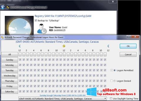Screenshot Active Password Changer per Windows 8