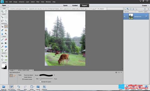 Screenshot Photoshop Elements per Windows 8