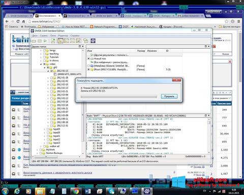 Screenshot DMDE per Windows 8