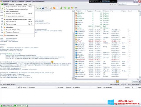 Screenshot FlylinkDC++ per Windows 8