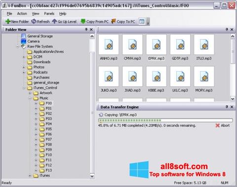 Screenshot iFunBox per Windows 8