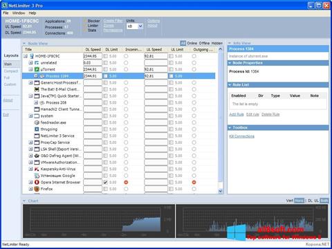 Screenshot NetLimiter per Windows 8