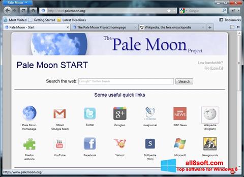 Screenshot Pale Moon per Windows 8
