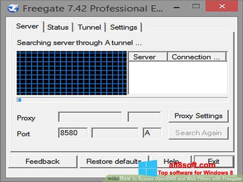 Screenshot Freegate per Windows 8