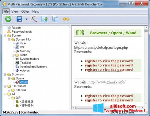 Screenshot Multi Password Recovery per Windows 8