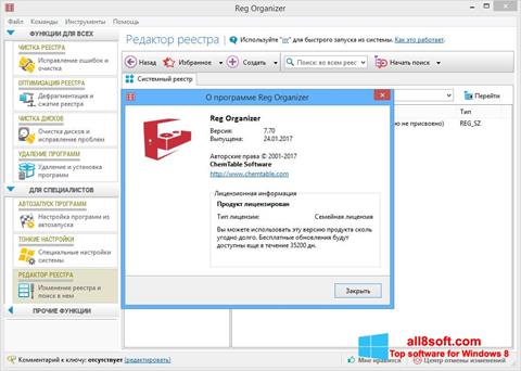 Screenshot Reg Organizer per Windows 8