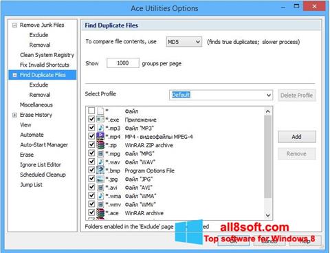 Screenshot Ace Utilities per Windows 8