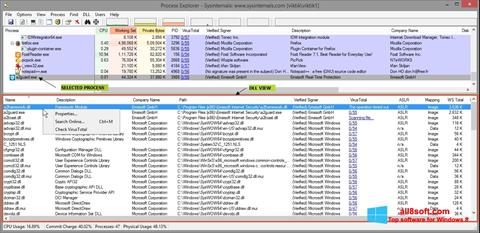 Screenshot Process Explorer per Windows 8