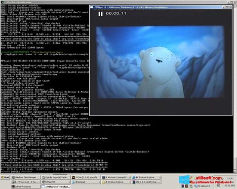 Screenshot MPlayer per Windows 8
