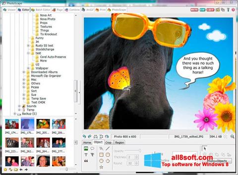 Screenshot PhotoScape per Windows 8