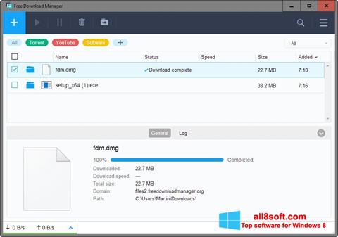 Screenshot Free Download Manager per Windows 8