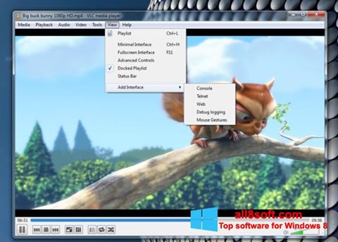 Screenshot VLC Media Player per Windows 8